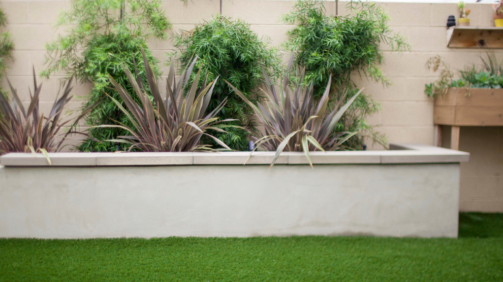 Imagen de jardín de secano moderno de tamaño medio en verano en patio trasero con exposición parcial al sol y mantillo