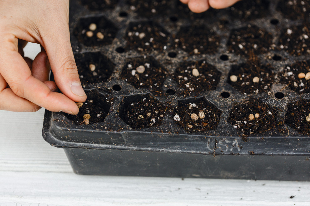 Cut Flower Garden book Farmhouse Landscape Seattle by Floret