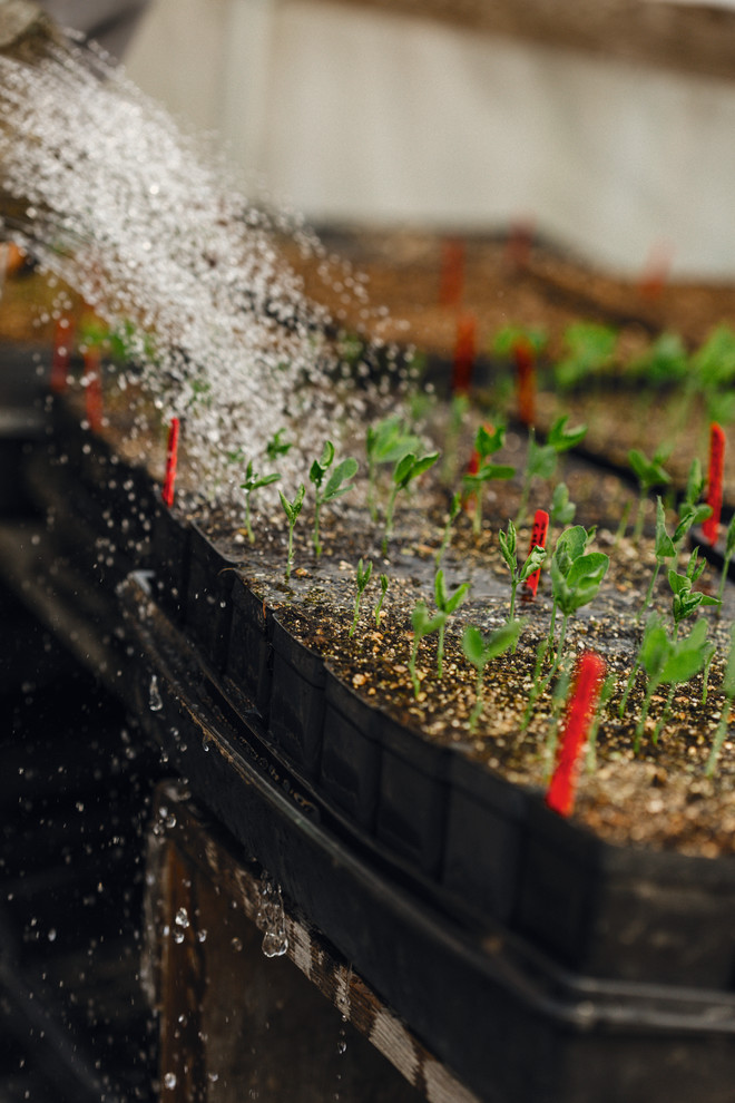 Cut Flower Garden book Farmhouse Landscape Seattle by Floret