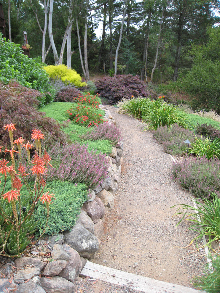 Exemple d'un jardin arrière tendance l'automne avec une exposition ensoleillée et du gravier.