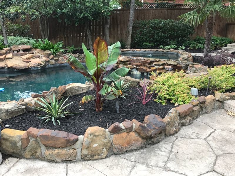 Design ideas for a medium sized world-inspired back formal full sun garden in Dallas with mulch and a water feature.