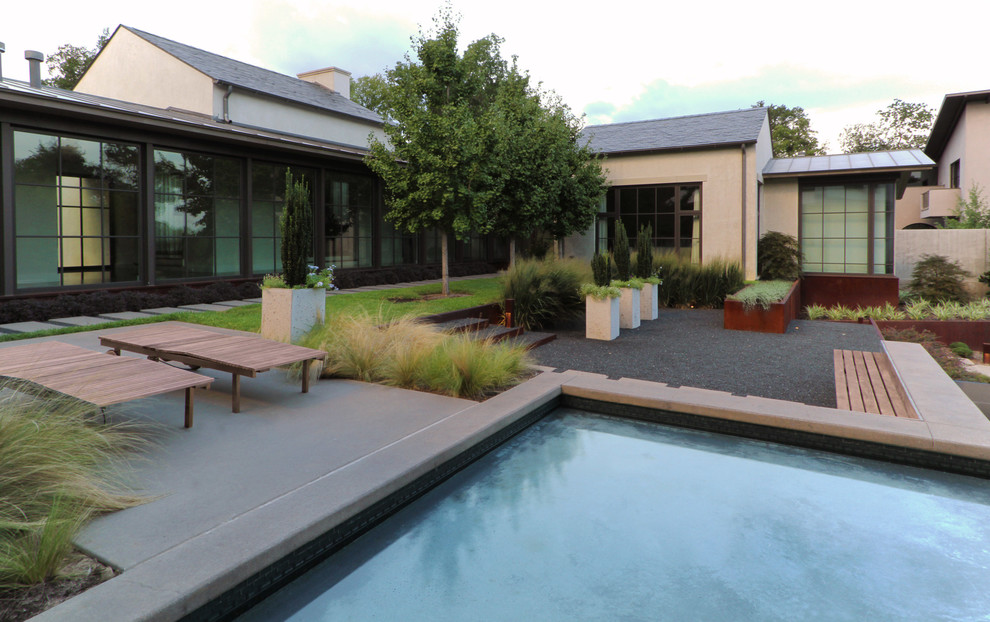 Imagen de jardín minimalista grande en patio trasero con exposición parcial al sol y gravilla