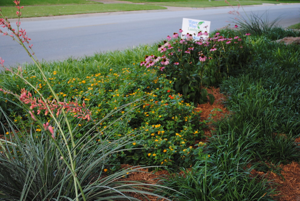 Dan and Pam Traditional Landscape Dallas by Jason Lackey