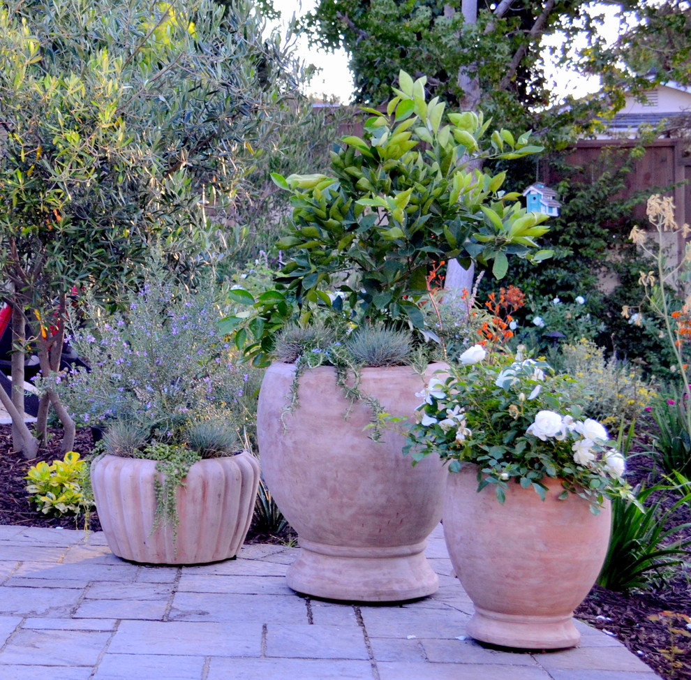 Immagine di un giardino mediterraneo esposto in pieno sole di medie dimensioni e dietro casa con un focolare e pavimentazioni in cemento