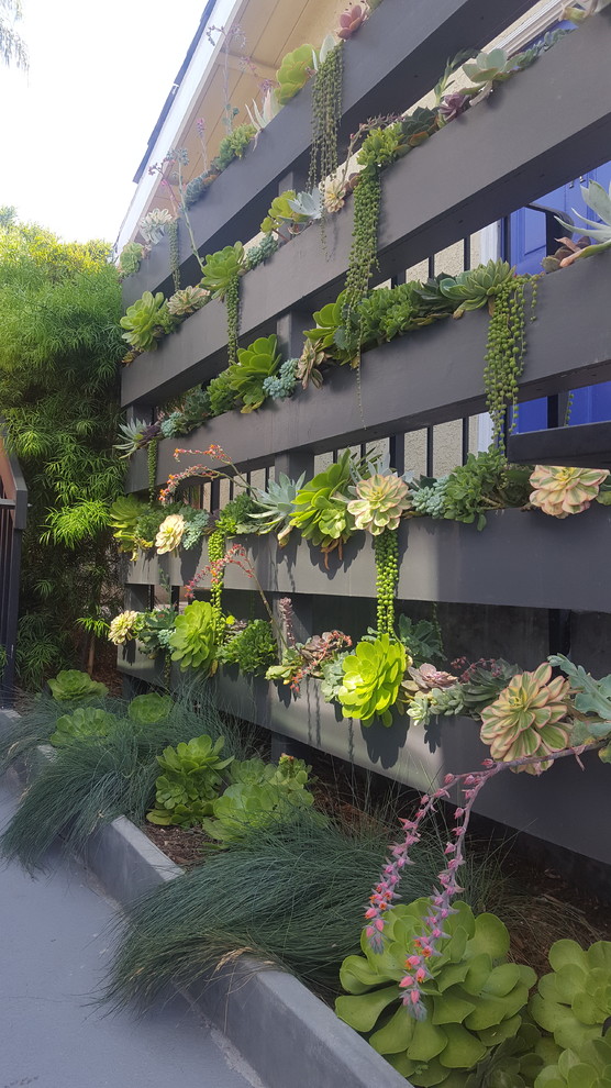 Immagine di un giardino xeriscape minimalista esposto a mezz'ombra davanti casa