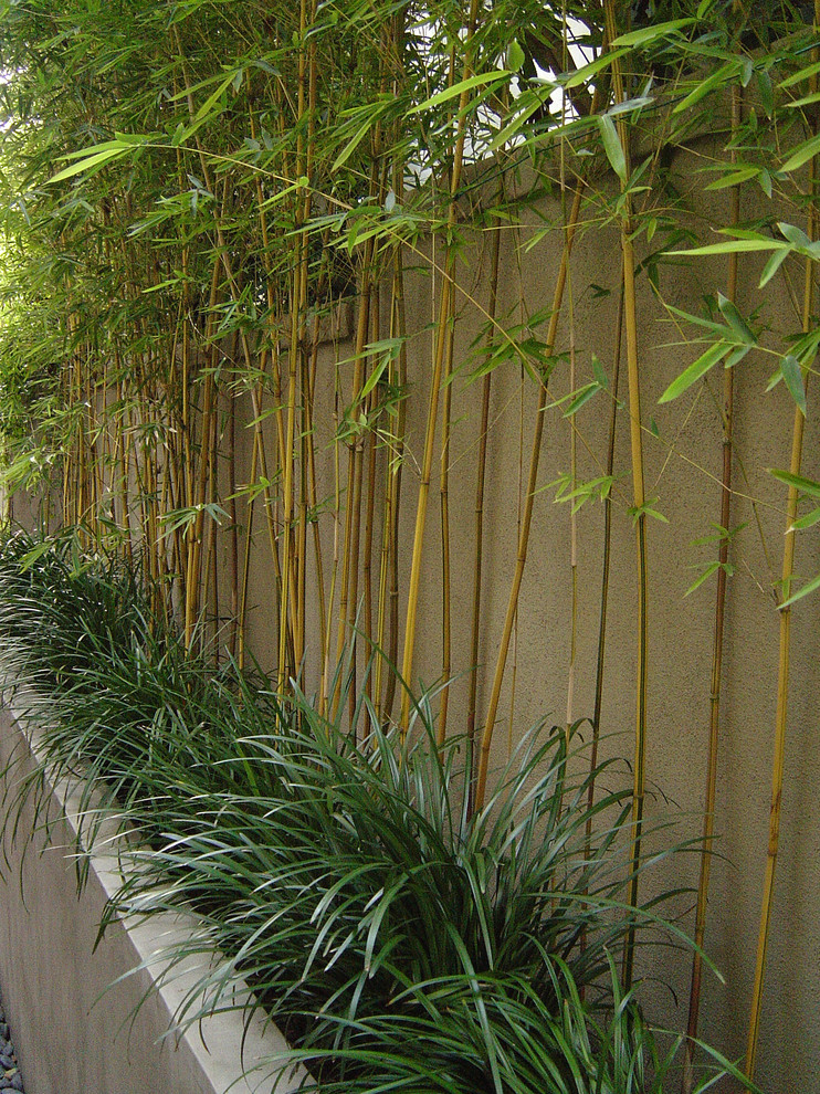This is an example of a mid-sized contemporary partial sun backyard concrete paver landscaping in Orange County for summer.