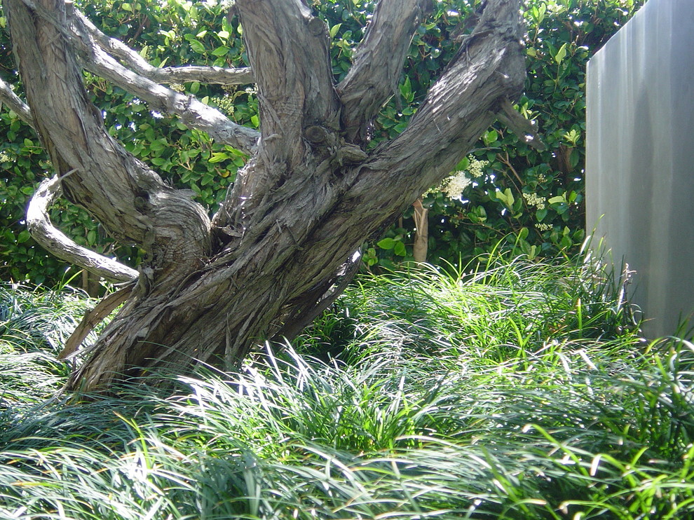 Exemple d'un jardin arrière tendance de taille moyenne et au printemps avec une exposition ensoleillée et des pavés en béton.