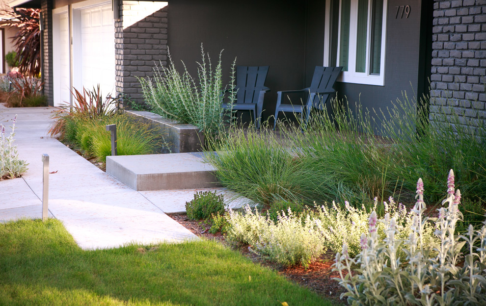 Idee per un giardino xeriscape minimalista esposto a mezz'ombra di medie dimensioni e davanti casa in primavera con un ingresso o sentiero e pavimentazioni in cemento