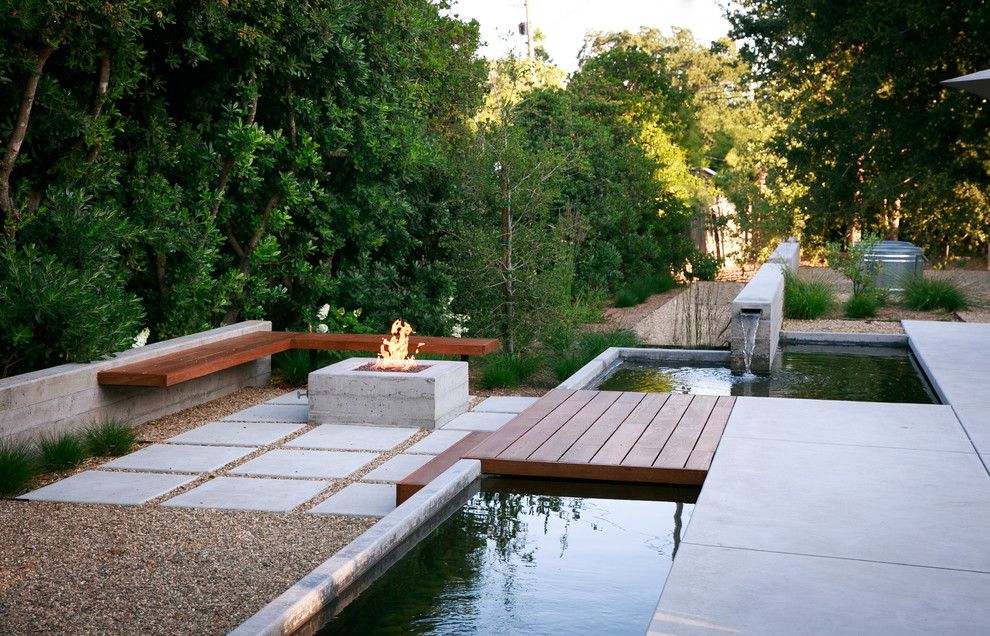 This is an example of a contemporary back garden in San Francisco.