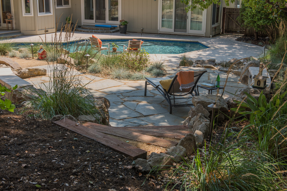 Design ideas for a huge transitional drought-tolerant backyard landscaping in San Francisco.