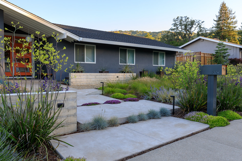 Идея дизайна: засухоустойчивый сад на переднем дворе в стиле ретро