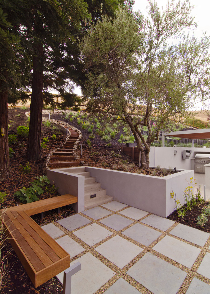 Immagine di un giardino minimal con un pendio, una collina o una riva e scale