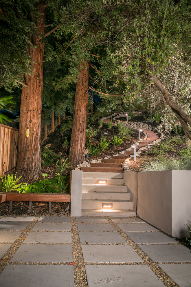 サンフランシスコにある広いコンテンポラリースタイルのおしゃれな整形庭園 (傾斜地、コンクリート敷き	) の写真