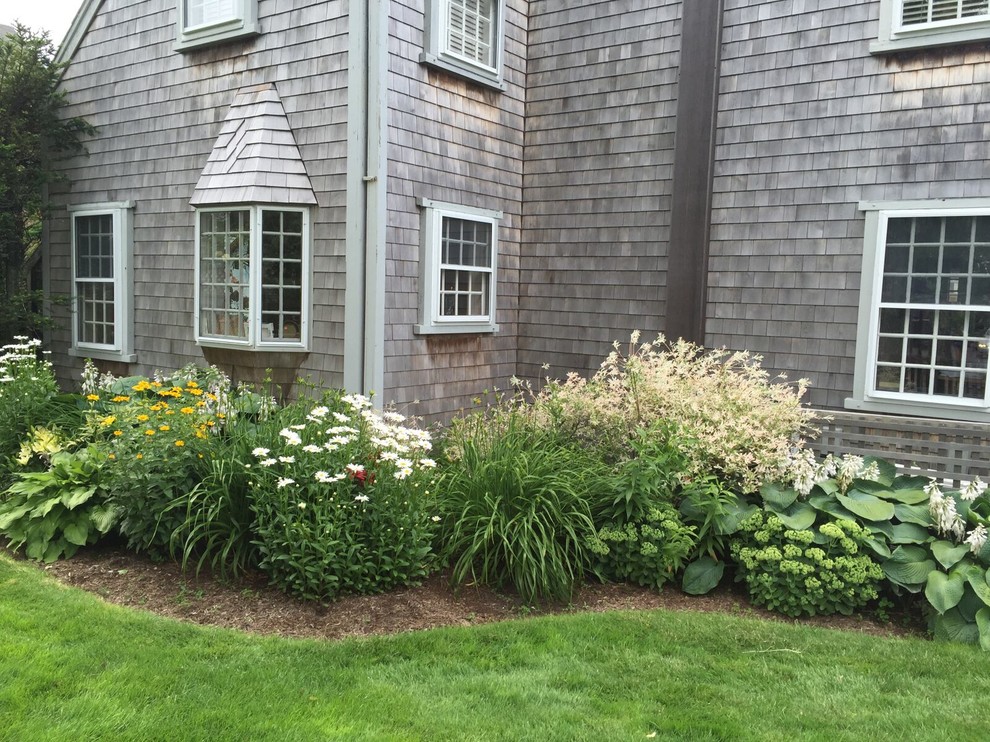 Пример оригинального дизайна: весенний регулярный сад среднего размера на переднем дворе в классическом стиле с садовой дорожкой или калиткой, полуденной тенью и мульчированием