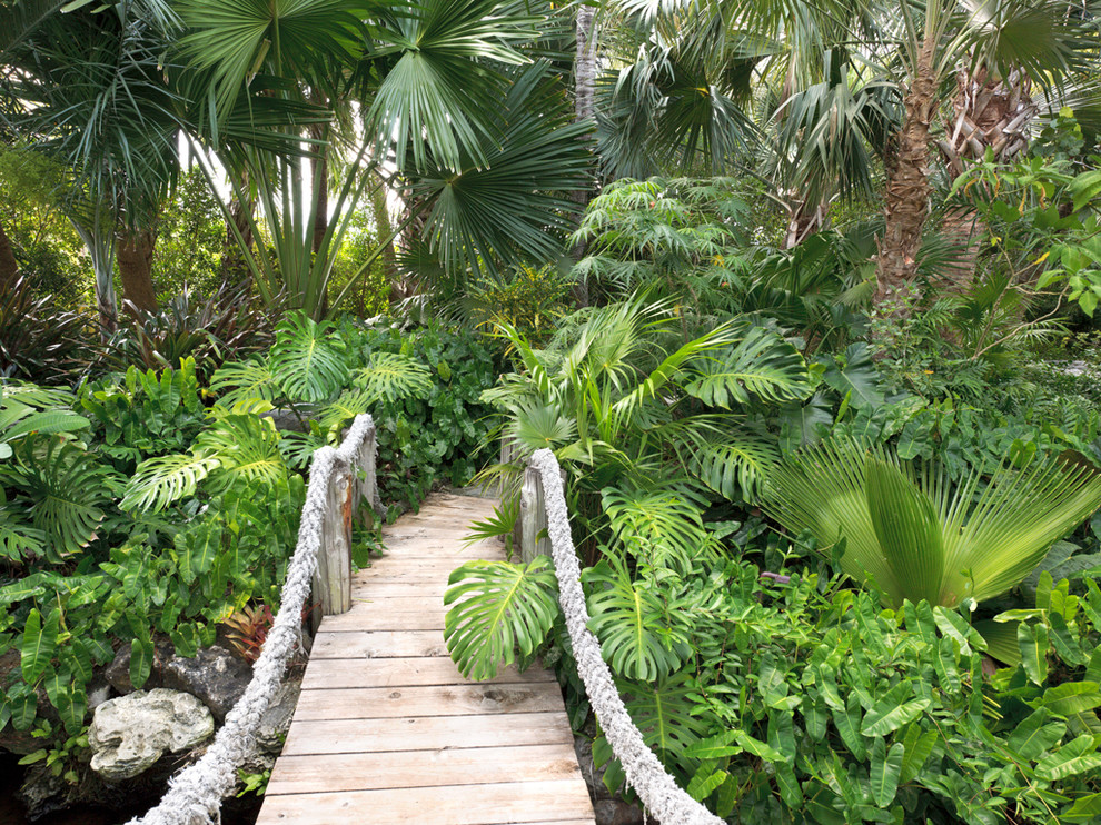 Photo of a tropical shade backyard landscaping in Miami with decking.