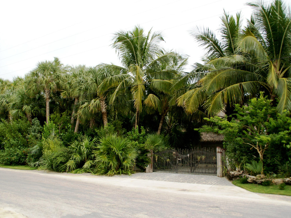 Immagine di un giardino tropicale davanti casa