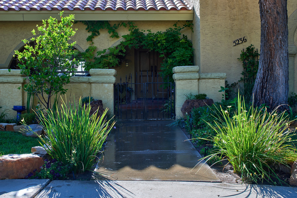 This is an example of a mediterranean landscaping in Austin.