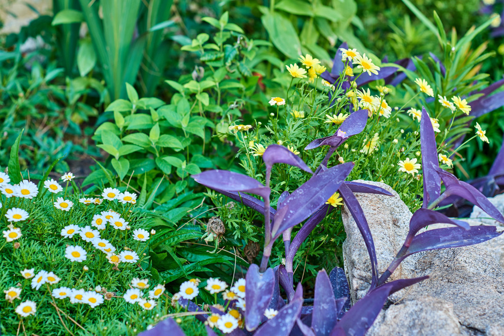 Photo of a mediterranean landscaping in Austin.