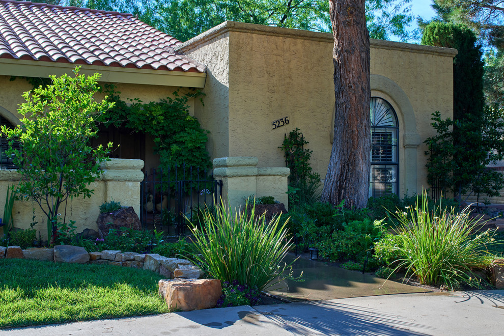 Design ideas for a mediterranean landscaping in Austin.