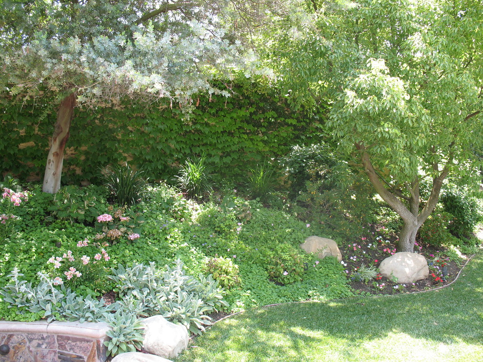 Medium sized world-inspired back full sun garden in Los Angeles with mulch.