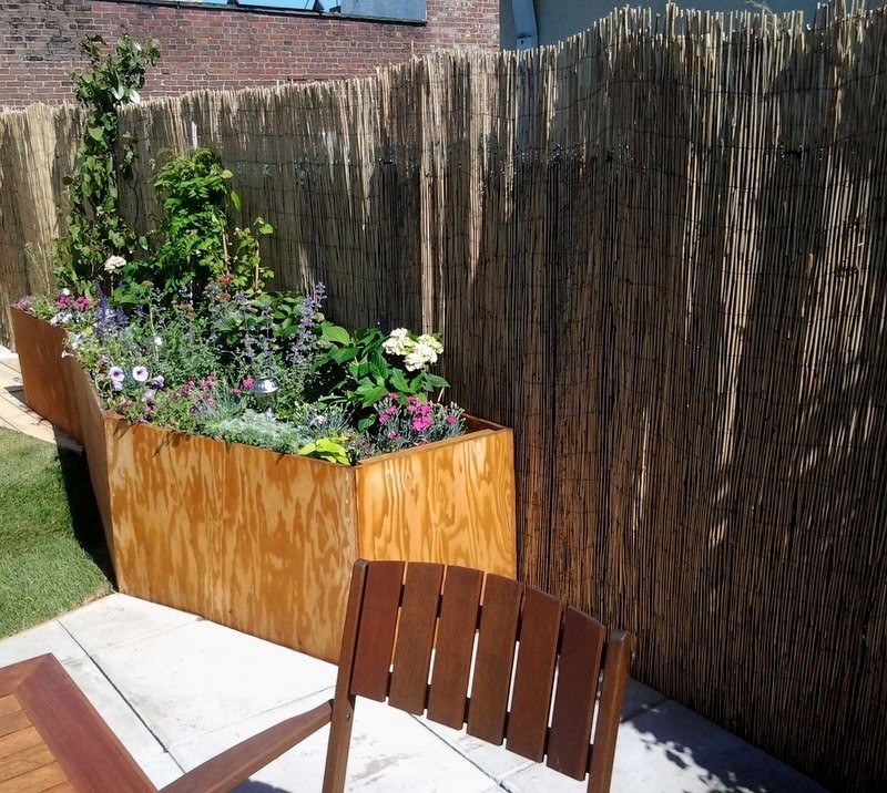 Cette photo montre un petit jardin éclectique l'été avec une exposition partiellement ombragée et des pavés en béton.
