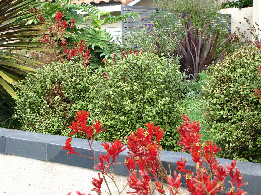 Photo of a contemporary landscaping in San Diego.