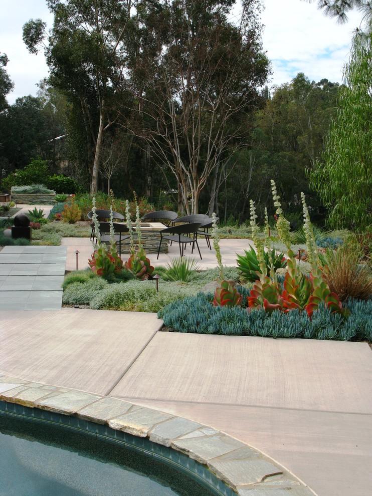 Diseño de jardín contemporáneo en patio trasero