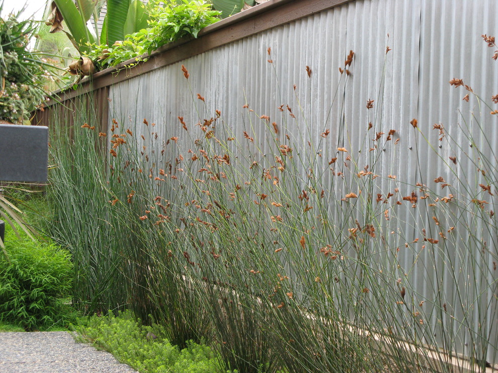 Cette image montre un jardin design avec une exposition ensoleillée et une clôture en métal.