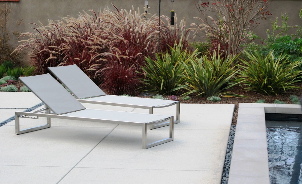 Design ideas for a contemporary back garden in San Diego.
