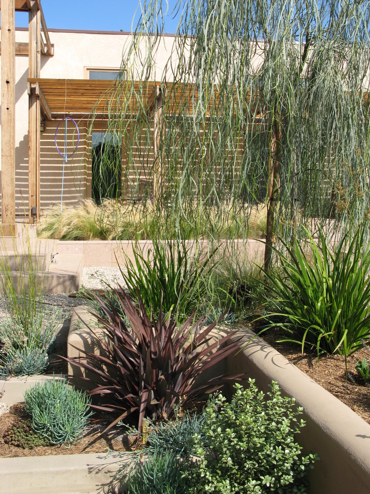 debora carl landscape design Modern Landscape San Diego by