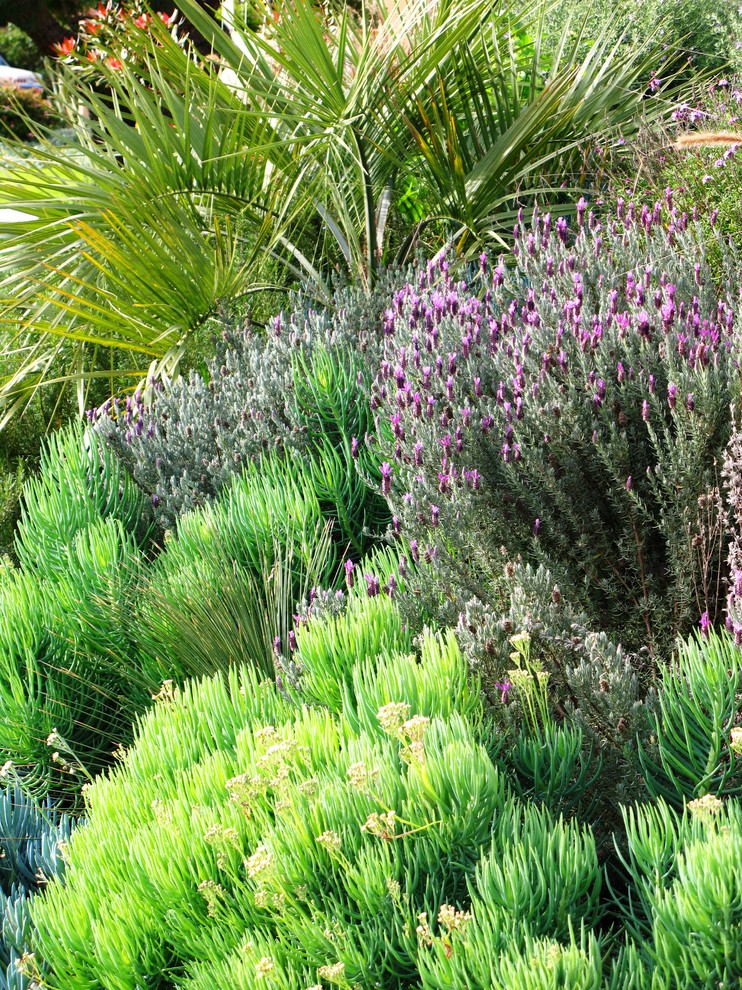 Exemple d'un jardin méditerranéen.