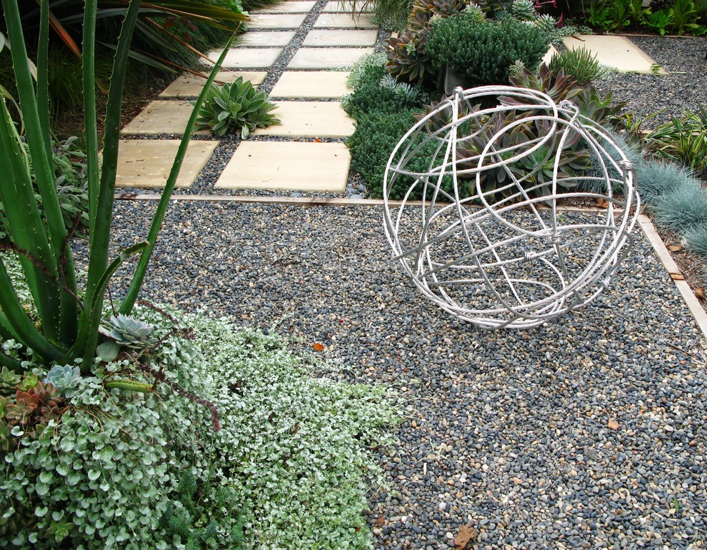 Photo of a contemporary backyard gravel landscaping in San Diego.