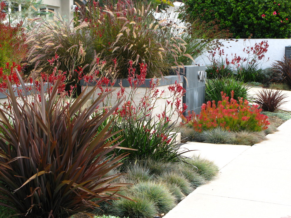 Inspiration for a contemporary landscaping in San Diego.