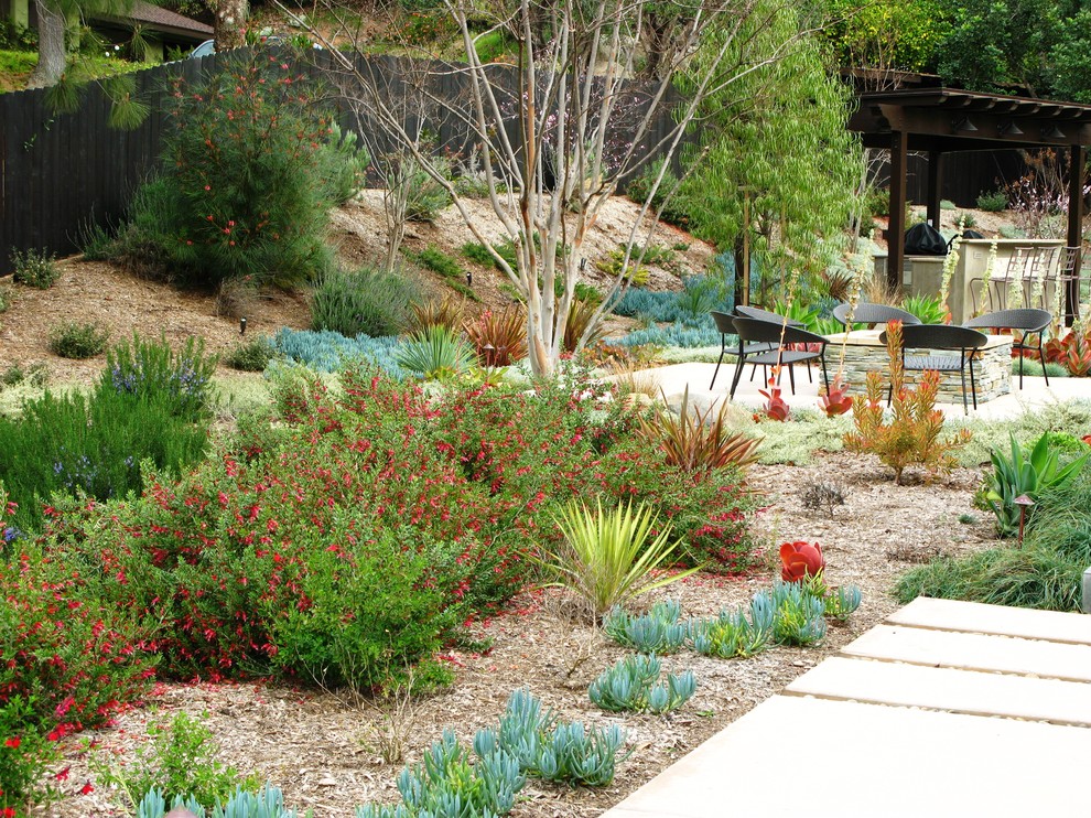 Пример оригинального дизайна: засухоустойчивый сад на заднем дворе в современном стиле
