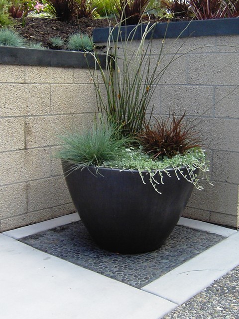 How to Successfully Group Garden Pots for Visual Impact