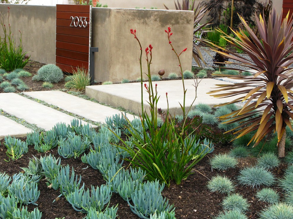 Пример оригинального дизайна: засухоустойчивый сад на переднем дворе в современном стиле