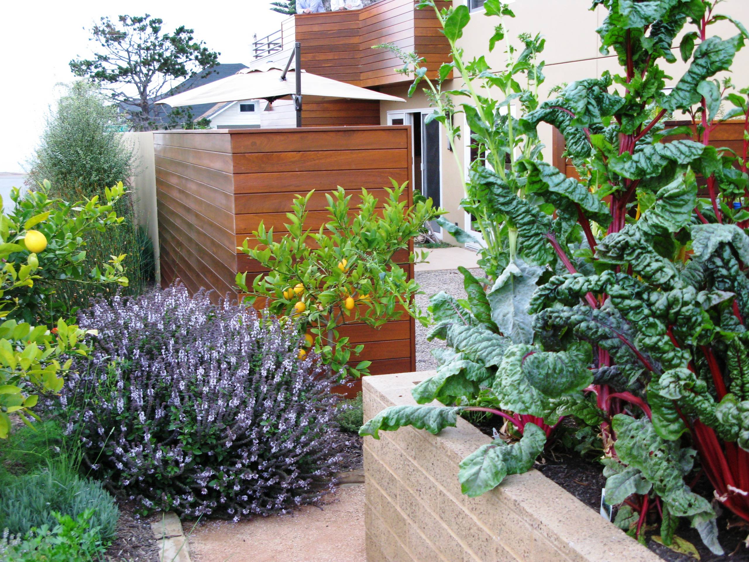 10 простых секретов, которые помогут вам создать уютный домашний огород | Идеи Декора | Дзен
