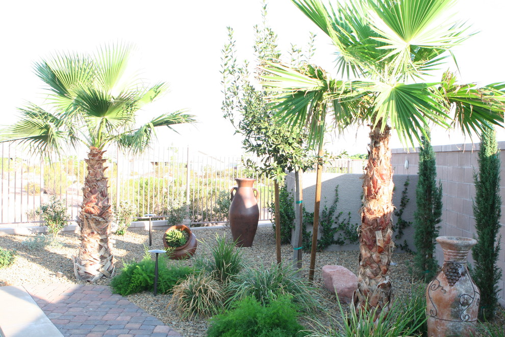 Design ideas for a tropical landscaping in Las Vegas.
