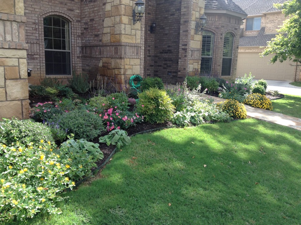 Immagine di un grande giardino xeriscape stile americano esposto a mezz'ombra davanti casa in primavera
