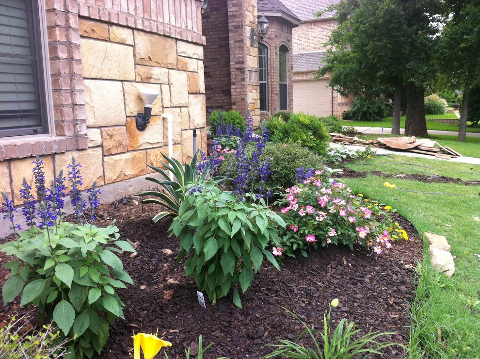 Decatur Tx. Ranch style xeriscape Southwestern Landscape Dallas