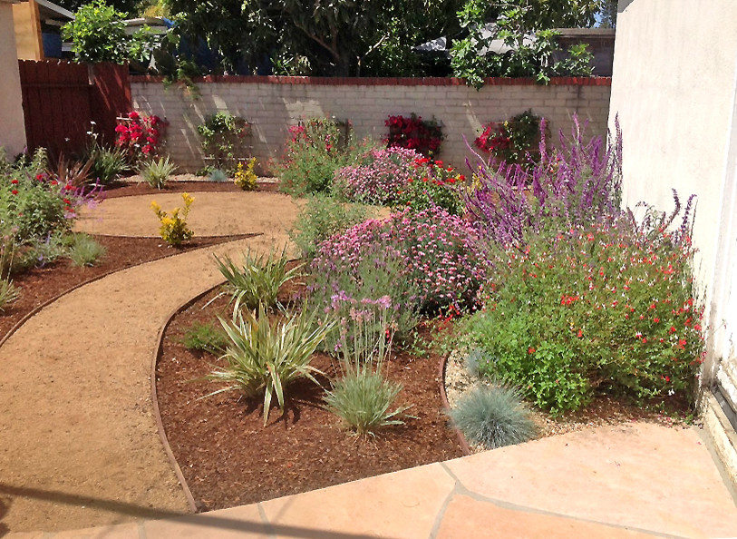 GraniteDG Droughttolerant Landscape Traditional Landscape Los Angeles by