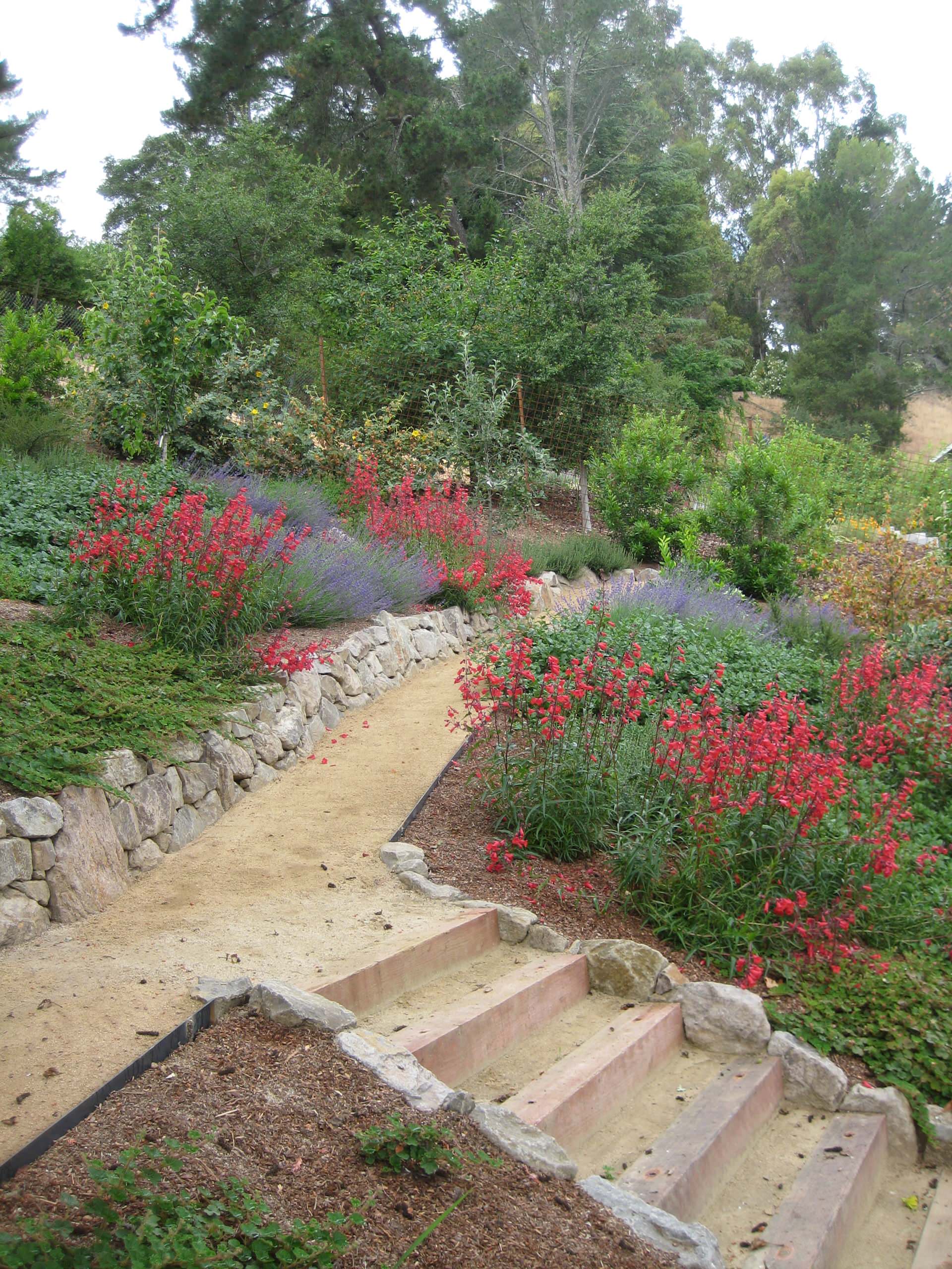 Paths For Sloping Yards