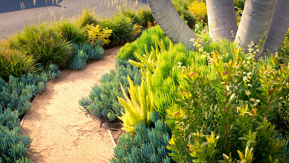 Ispirazione per un giardino xeriscape moderno esposto in pieno sole davanti casa con un ingresso o sentiero e ghiaia