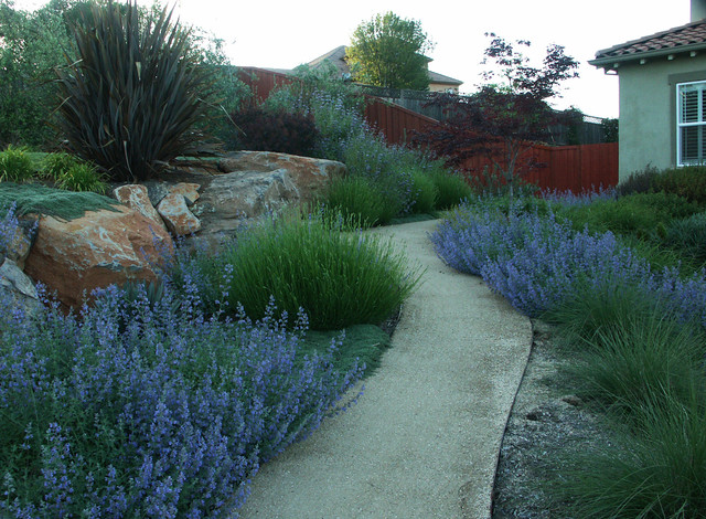 Decomposed Granite Pathway Mediterranean Garden San Francisco By Geared For Growing Landscape Services Houzz