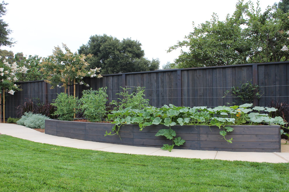 This is an example of a traditional vegetable garden landscape in San Francisco.