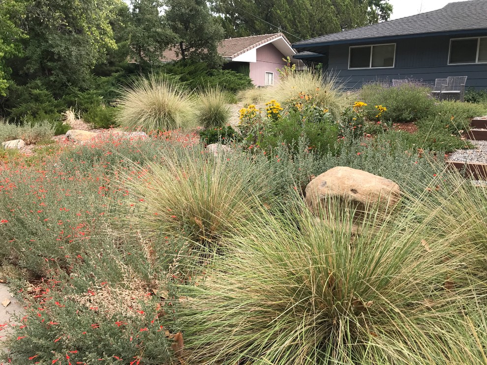 Foto di un giardino xeriscape minimalista esposto in pieno sole di medie dimensioni e davanti casa con un ingresso o sentiero e pavimentazioni in pietra naturale
