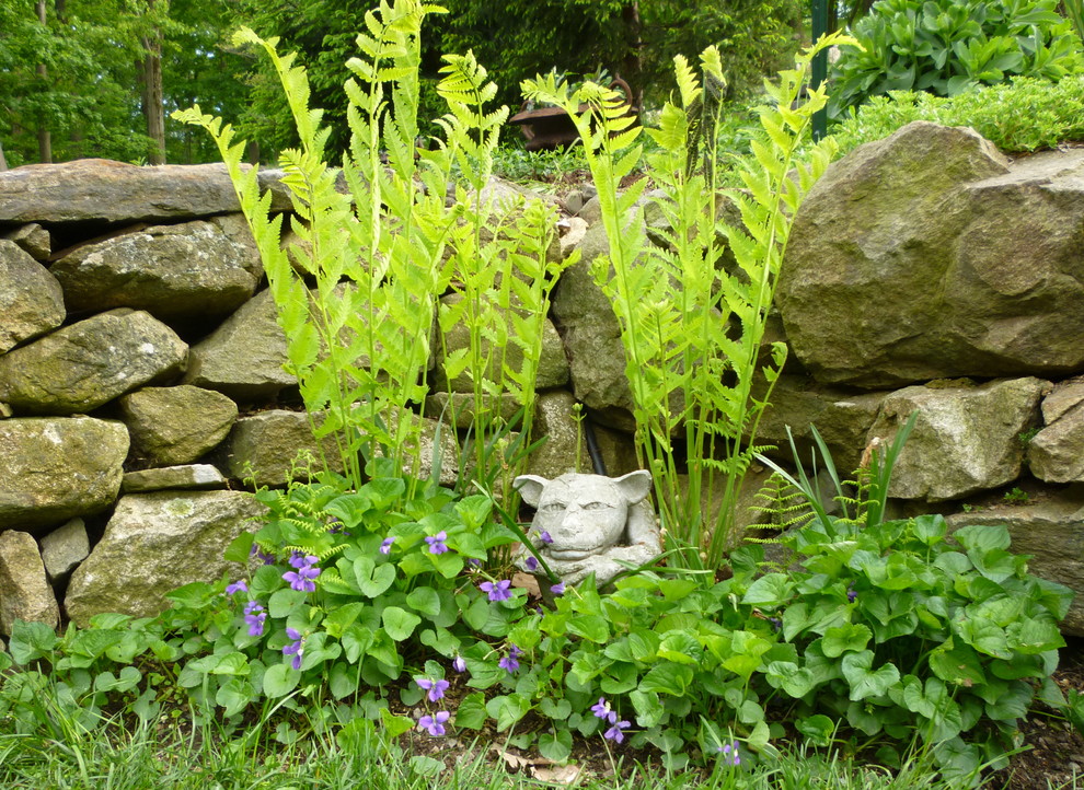 Свежая идея для дизайна: весенний засухоустойчивый сад на боковом дворе в стиле рустика с подпорной стенкой - отличное фото интерьера