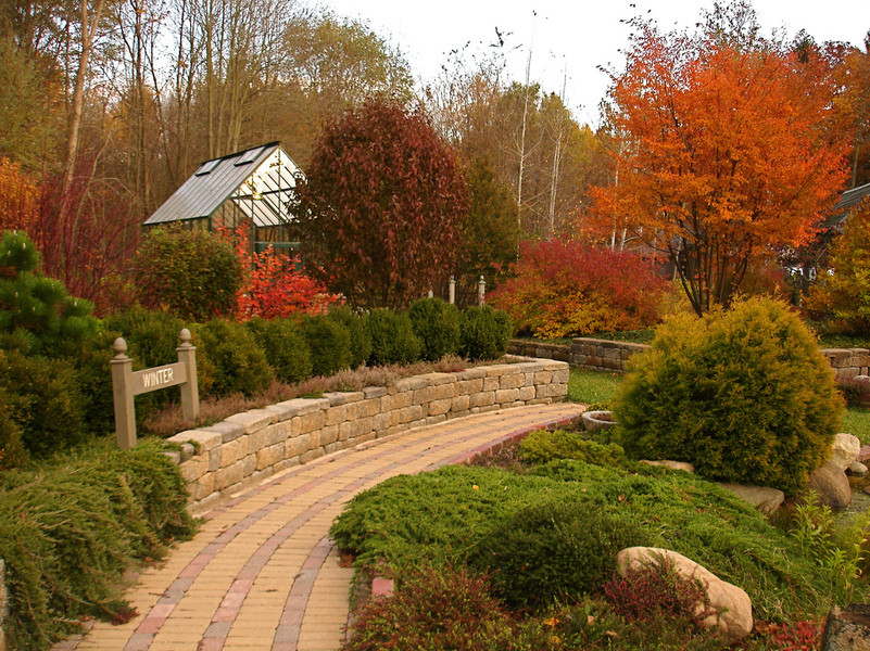 Inspiration pour un jardin sur cour design de taille moyenne et l'automne.