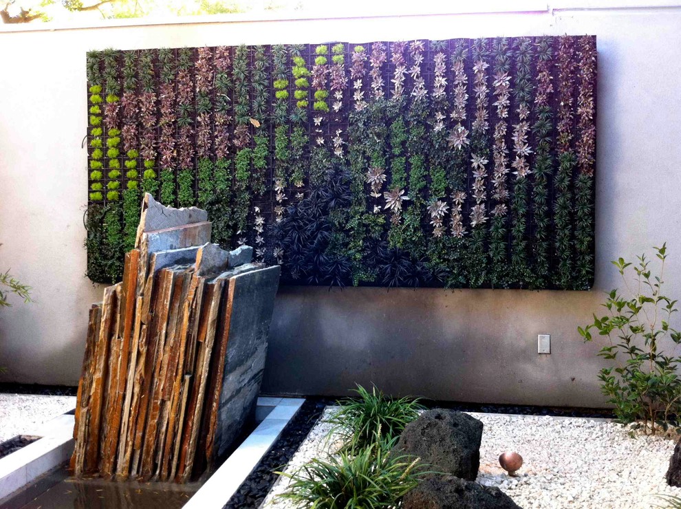 サンディエゴにあるエクレクティックスタイルのおしゃれな庭 (壁面緑化) の写真