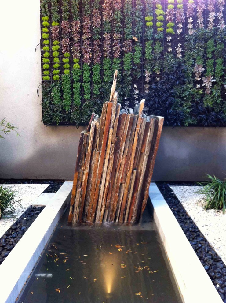 Design ideas for a contemporary landscaping in San Diego.